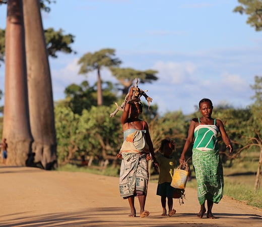Madagascar