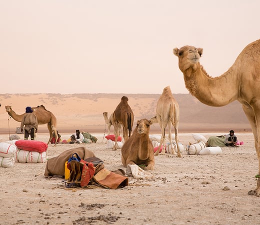 Mauritania