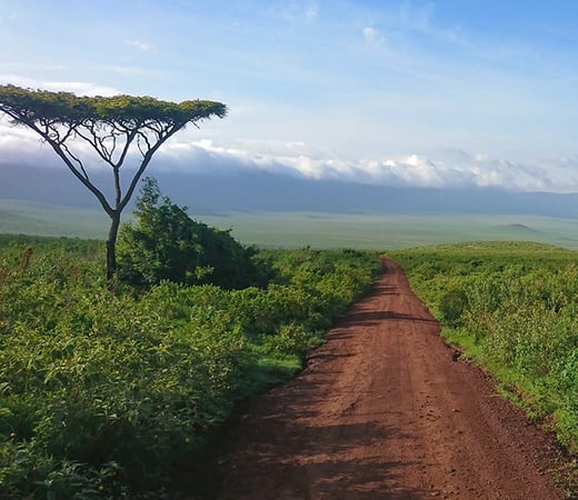 Tanzania