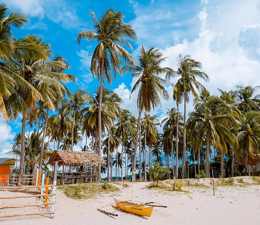 the British Virgin Islands