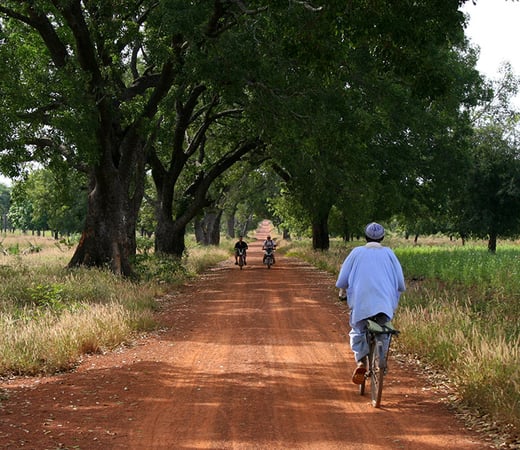 the Central African Republic
