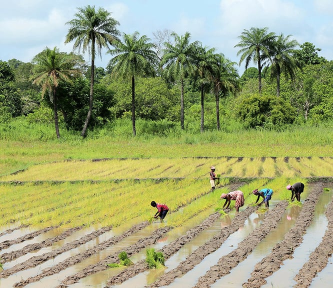 https://www.globalexpansion.com/hubfs/Countrypedia/guinea-bissau_1.jpg