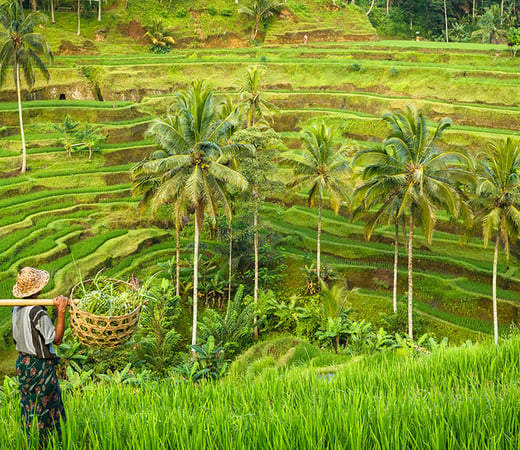 Indonesia