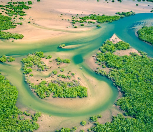 Senegal