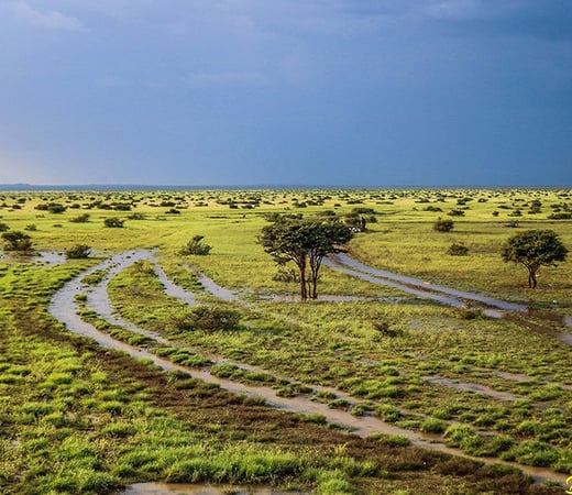 Somalia