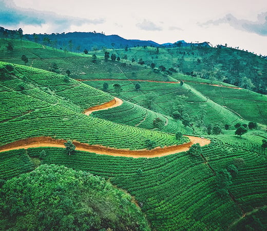 Sri Lanka