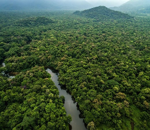Suriname