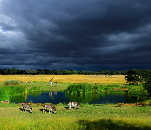 Zimbabwe