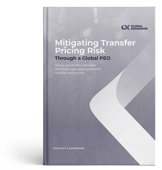 Mitigating Transfer Risk-cover-min