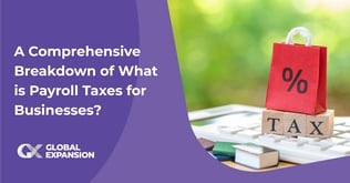 A Comprehensive Breakdown of What is Payroll Taxes for Businesses?
