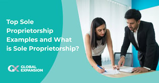What is Sole Proprietorship? Examples, Insights and More!