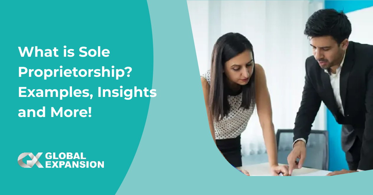 What is Sole Proprietorship? Examples, Insights and More!