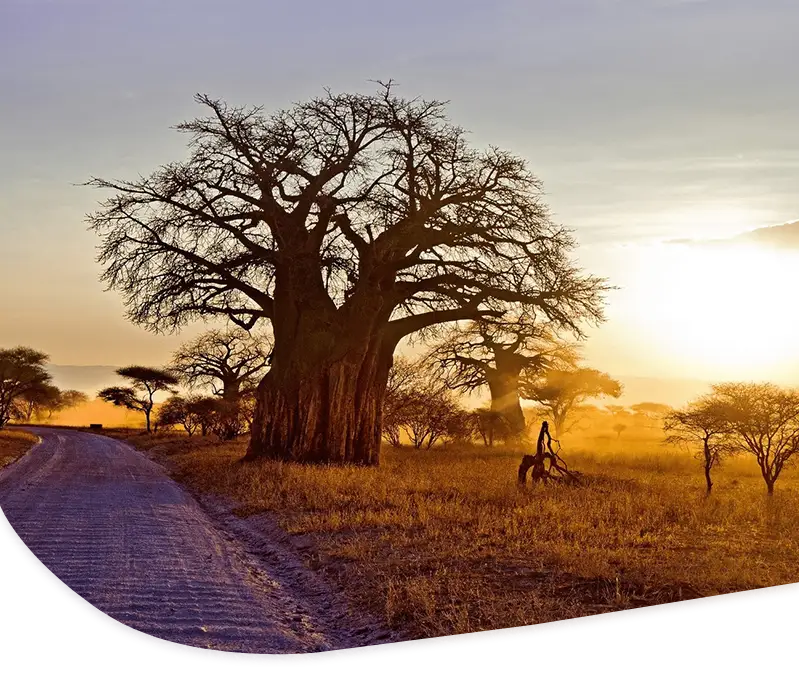 central-african-republic-mobile