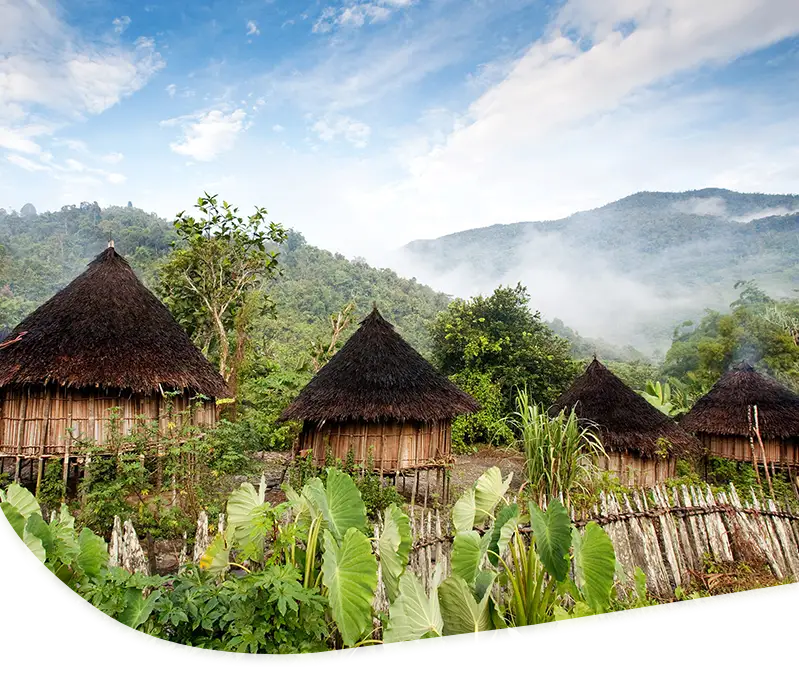 papua-new-guinea-mobile