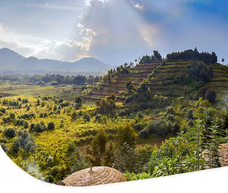 rwanda-mobile