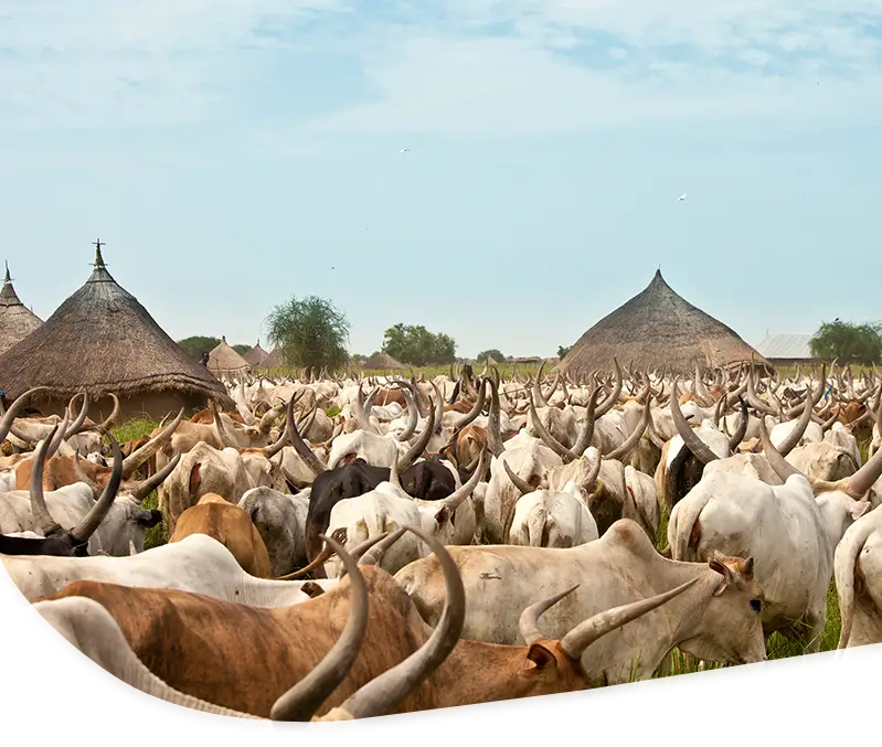 south-sudan-mobile